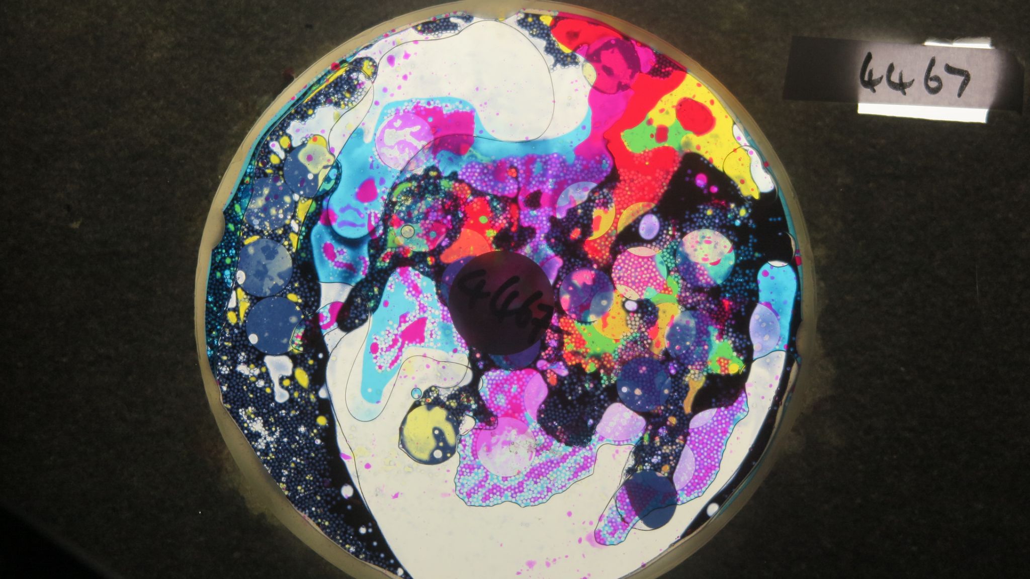 BV4467 bubble vision oil wheel